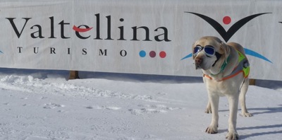 LA FOTO DEL GIORNO: un connubio perfetto!
